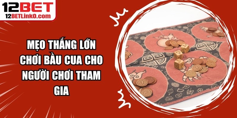 Mẹo thắng lớn chơi bầu cua cho người chơi tham gia 1 Mẹo thắng lớn chơi bầu cua